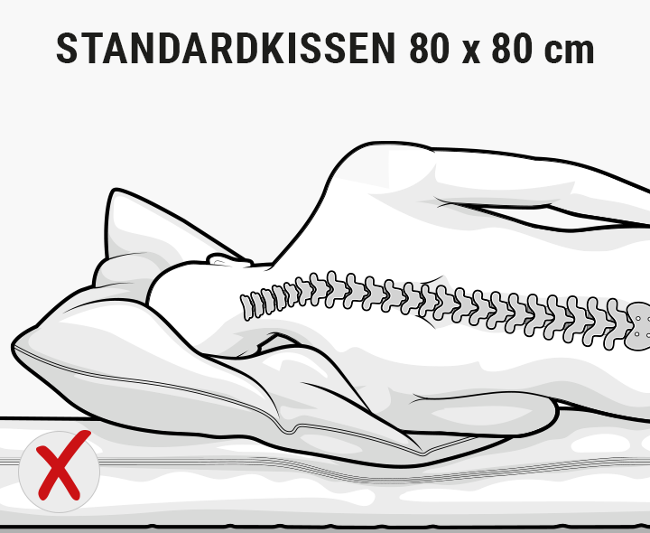 Illustration: ein Mensch liegt auf einem Kissen, Wirbelsäule ist eingezeichnet und abgeknickt Text: Standardkissen 80x80 cm