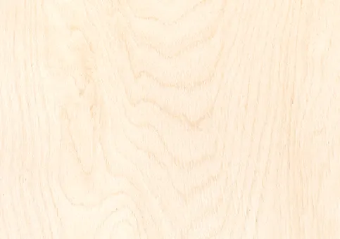 Bild: Nahaufnahme der Holzart Eiche mit heller Maserung