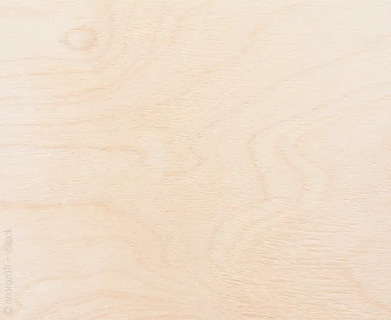 Nahaufnahme der Holzart Birke mit heller Maserung